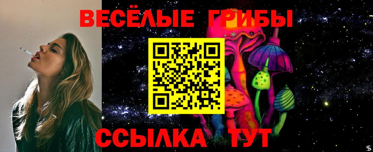 Псилоцибиновые грибы Psilocybine cubensis Борзя